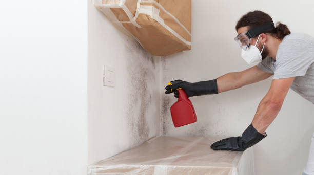 Professional Mold Cleanup technician working in Farmville, VA