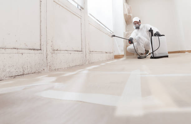 24/7 Emergency Mold Cleanup experts in Farmville, VA