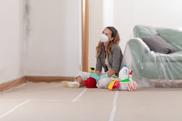 Reliable Mold Cleanup contractor in Farmville, VA by Cheap Mold Removal